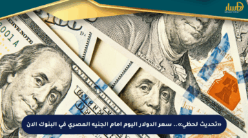 «تحديث لحظي».. سعر الدولار اليوم أمام الجنيه المصري في البنوك الآن
